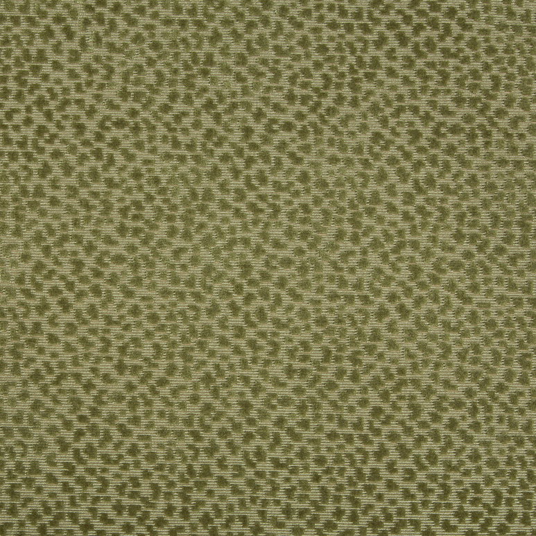 Brunschwig &amp; Fils La Panthere Velvet Moss Fabric