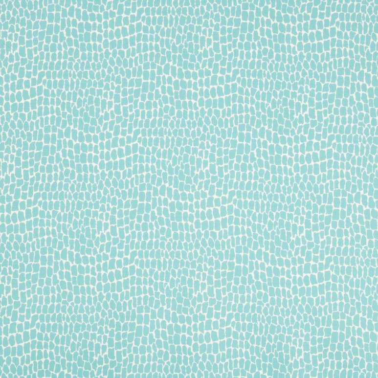 Brunschwig &amp; Fils Nile Print Aqua Fabric