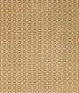 Brunschwig & Fils Savanne Velvet Sand Fabric