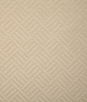 Pindler & Pindler Tanner Gold Fabric