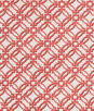 Brunschwig & Fils Salvy Print Ruby Fabric