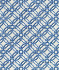Brunschwig & Fils Salvy Print Porcelain Fabric