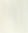 Brunschwig & Fils Rospico Plain Ivory Fabric