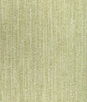 Brunschwig & Fils Rospico Plain Leaf Fabric