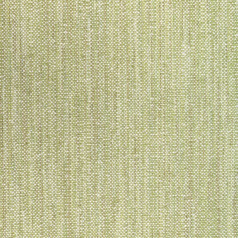 Brunschwig &amp; Fils Rospico Plain Leaf Fabric