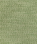 Brunschwig & Fils Sasson Texture Green Fabric