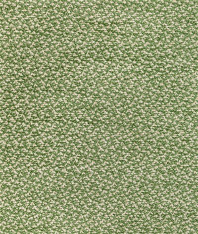 Brunschwig & Fils Sasson Texture Green Fabric