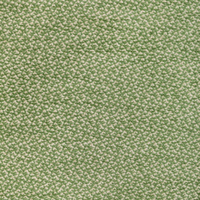 Brunschwig &amp; Fils Sasson Texture Green Fabric