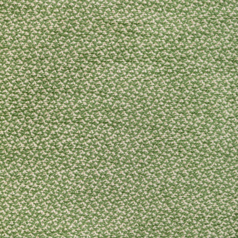 Brunschwig &amp; Fils Sasson Texture Green Fabric