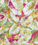 Brunschwig & Fils Diani Print Spring Fabric