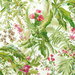 Brunschwig & Fils Majorelle Print Spring Fabric