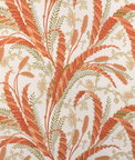 Brunschwig & Fils Vernay Print Apricot Fabric