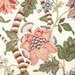 Brunschwig & Fils Cadenet Print Apricot/Sage Fabric