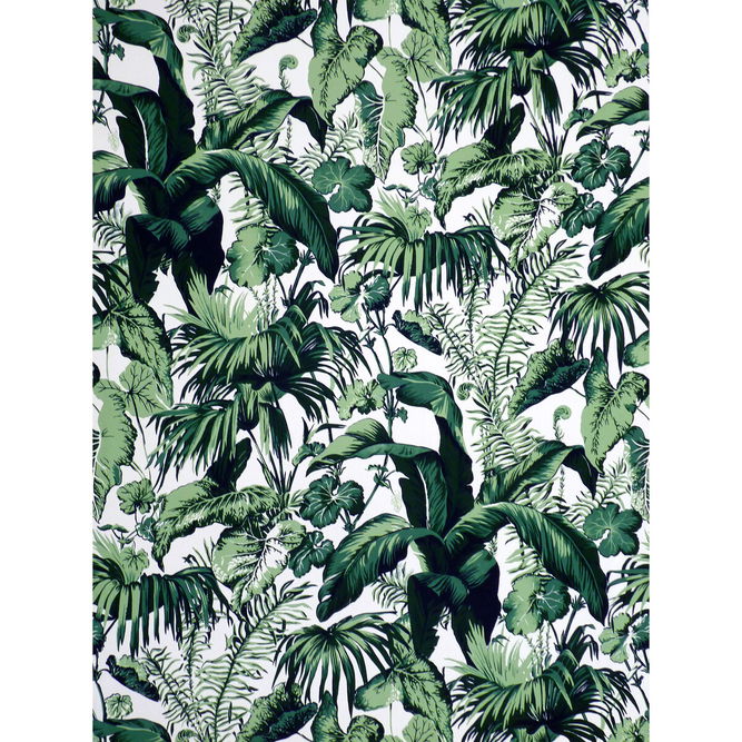 Brunschwig &amp; Fils Feuillage II Blanc Fabric