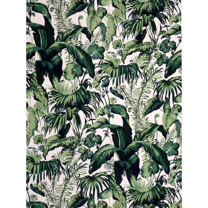Brunschwig &amp; Fils Feuillage II Vert Fabric