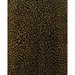 Brunschwig & Fils Madeleine's Leopard Bronze Fabric