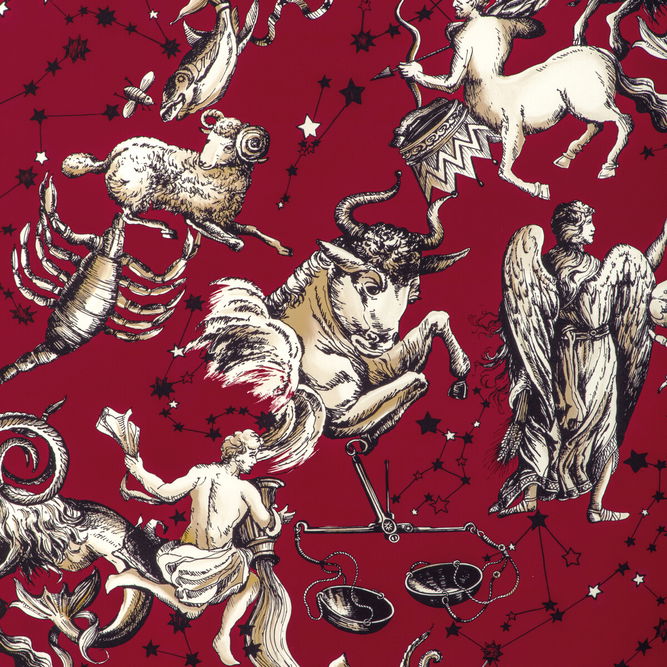 Brunschwig &amp; Fils Cosmique Print Ruby Fabric