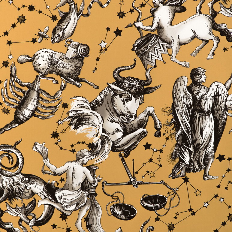 Brunschwig &amp; Fils Cosmique Print Gold Fabric