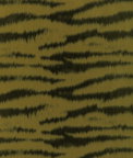 Brunschwig & Fils Tigre Warp Print Citron Fabric