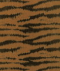Brunschwig & Fils Tigre Warp Print Gold Fabric