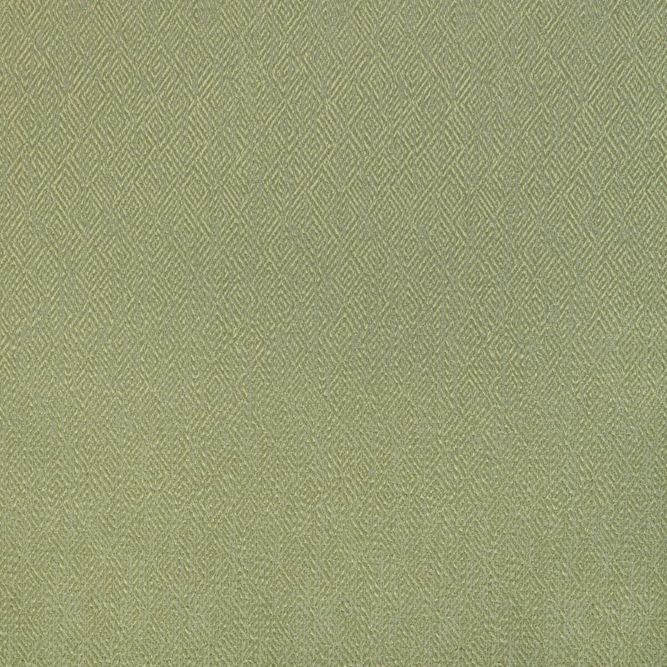 Brunschwig &amp; Fils Pipet Texture Leaf Fabric