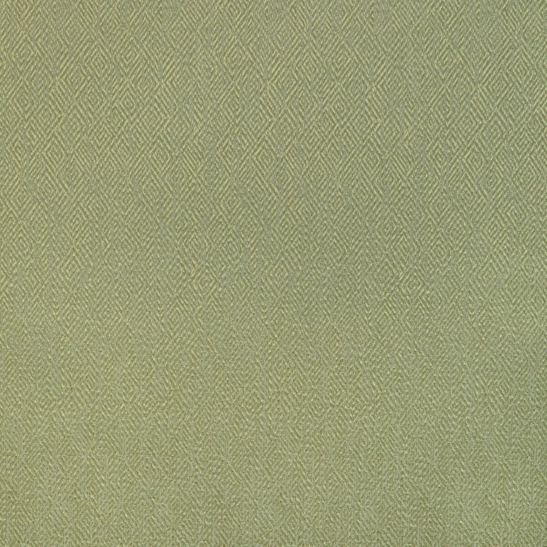 Brunschwig &amp; Fils Pipet Texture Leaf Fabric