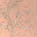 Brunschwig & Fils Bird And Thistle II Peach Fabric