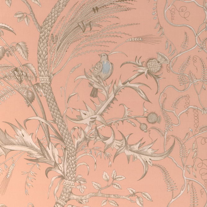 Brunschwig &amp; Fils Bird And Thistle II Peach Fabric