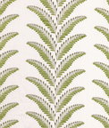 Brunschwig & Fils Fougere Embroidery Leaf Fabric