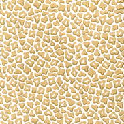 Brunschwig & Fils Guepard Print Sand Fabric