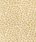 Brunschwig & Fils Guepard Print Sand Fabric