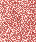 Brunschwig & Fils Guepard Print Rouge Fabric