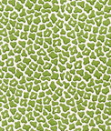Brunschwig & Fils Guepard Print Leaf Fabric