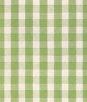 Brunschwig & Fils Clemens Check Green Fabric