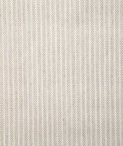 Pindler & Pindler Pickering Tussah Fabric