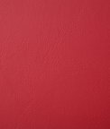 Pindler & Pindler Poolside Apple Fabric