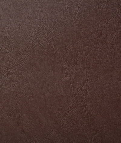 Pindler & Pindler Poolside Brown Fabric