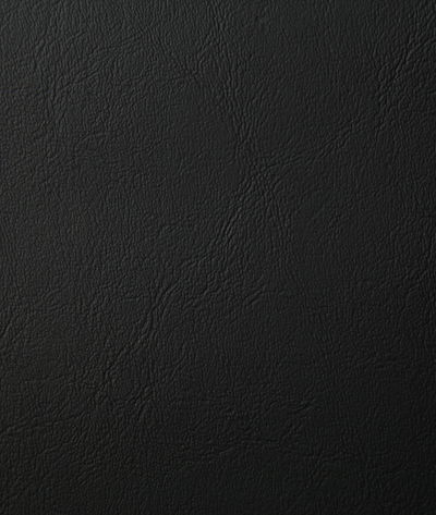 Pindler & Pindler Poolside Noir Fabric