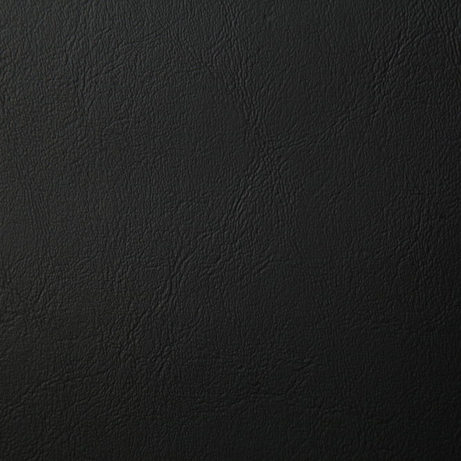 Pindler &amp; Pindler Poolside Noir Fabric