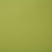 Pindler & Pindler Poolside Sprout Fabric
