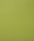 Pindler & Pindler Poolside Sprout Fabric