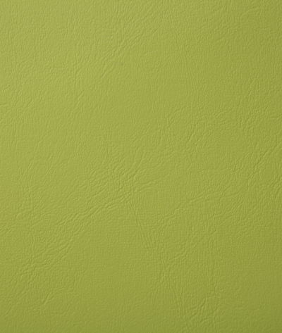 Pindler & Pindler Poolside Sprout Fabric