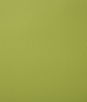 Pindler & Pindler Poolside Sprout Fabric