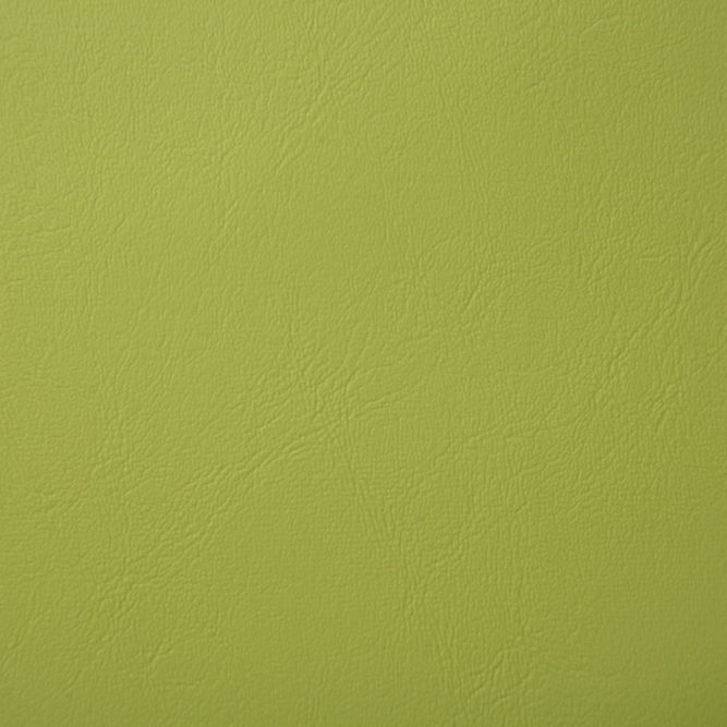 Pindler &amp; Pindler Poolside Sprout Fabric
