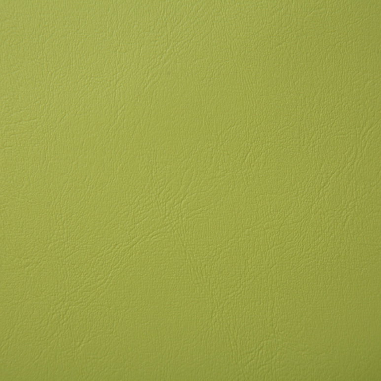 Pindler &amp; Pindler Poolside Sprout Fabric