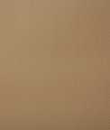 Pindler & Pindler Poolside Tan Fabric