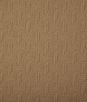 Pindler & Pindler Sunburst Tan Fabric