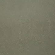 Pindler & Pindler Gitty Up Aloe Fabric