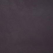 Pindler & Pindler Gitty Up Aubergine Fabric