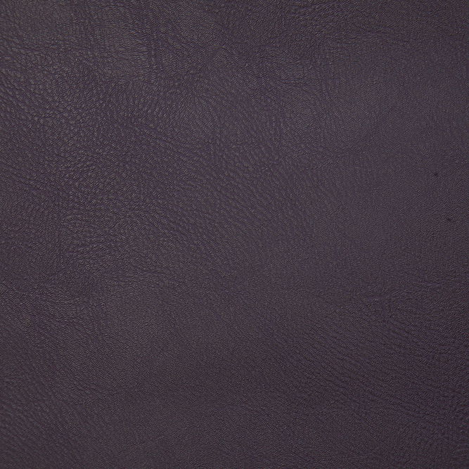 Pindler &amp; Pindler Gitty Up Aubergine Fabric